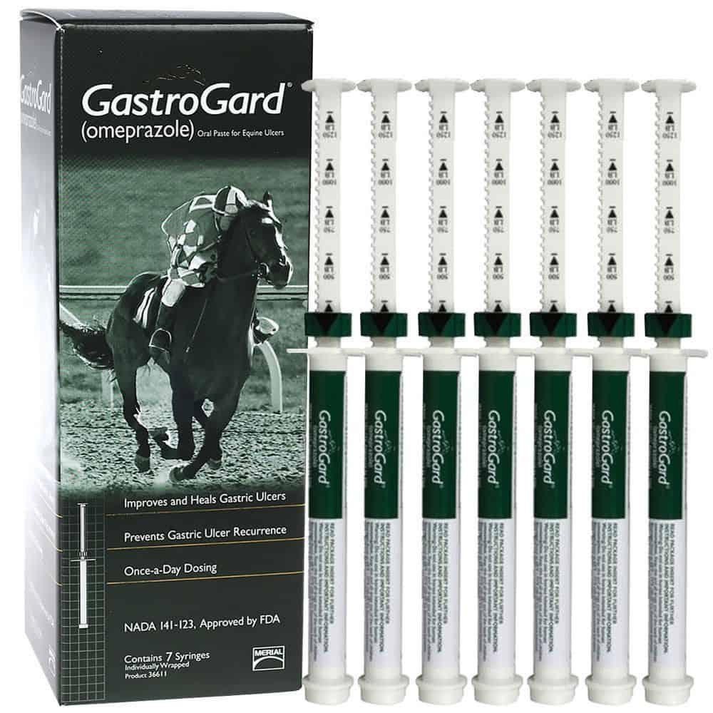 Order Gastrogard For Horses Equine Vets